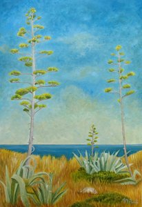 Agave merenrannalla tekijältä Angeles M. Pomata