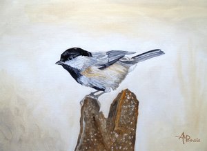 Tiainen puun kannolla