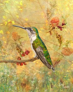 Kultaisen kolibrin istuin tekijältä Angeles M. Pomata