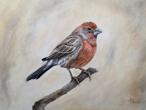 Puussa istuva talitintti tekijältä Angeles M. Pomata