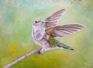 Istuvan kolibrin siivet tekijältä Angeles M. Pomata