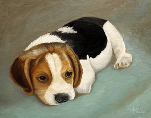 Surullinen beagle-pentu tekijältä Angeles M. Pomata
