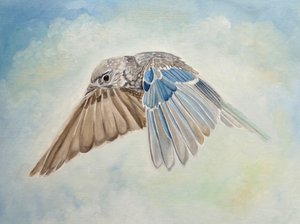 Kohoava sinilintu tekijältä Angeles M. Pomata