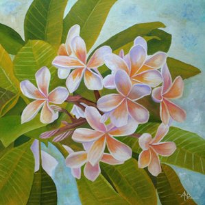 Pehmeät plumeria-kukat tekijältä Angeles M. Pomata