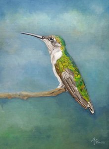 Värikäs kolibrin istumapaikka tekijältä Angeles M. Pomata
