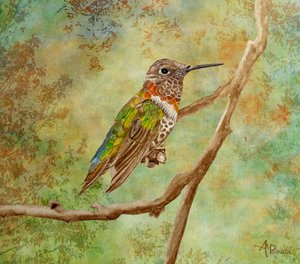 Eläväinen kolibri istumassa tekijältä Angeles M. Pomata