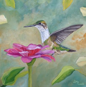 Värikäs kolibri-zinnia tekijältä Angeles M. Pomata