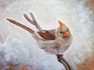 Valpas naaraskardinaali tekijältä Angeles M. Pomata