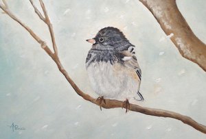 Talvijunko tekijältä Angeles M. Pomata