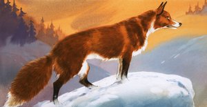 Kettu lumessa tekijältä Angus McBride