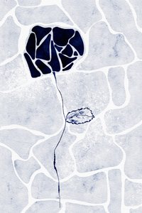 Tiivistelmä: Sininen ruusu