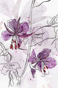 Violetti vesivärikukinta