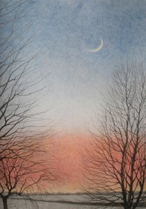 Early Evening, 2010 (värikynä paperille) tekijältä Anna Phillips