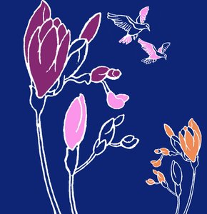 Freesia