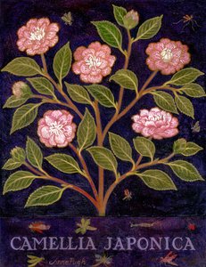 Camellia tekijältä Anna Pugh