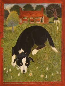 Collie-koira (akryyli) tekijältä Anna Pugh