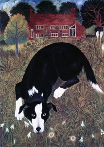 METADATASSA tekijältä Anna Pugh