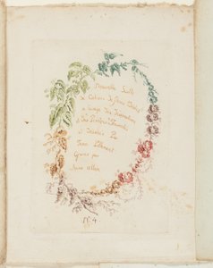 Nimiölehti, teoksesta New Suite of Notebook of Ideal Flowers for Use by Draftsmen and Painters (Uusi sarja ihanteellisia kukkia piirtäjien ja taidemaalareiden käyttöön). tekijältä Anne Allen