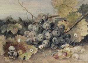 Huonekalut ja erilaiset esineet 1100- ja 1300-luvuilta tekijältä Anne Frances Byrne