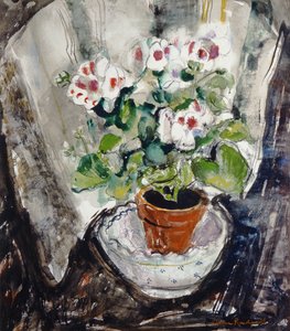 Pelargonium (akvarelli paperille)