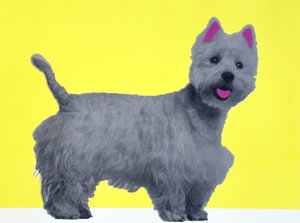 Bestie Westie, 2015 tekijältä Anne Storno