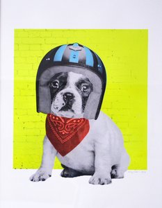 Easy Rider, 2016 tekijältä Anne Storno