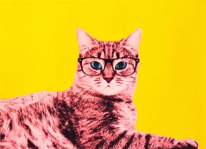 Elämä technicolorissa, 2017