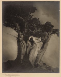 Myrskyn sydän tekijältä Anne W. Brigman