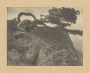 Lone Pine tekijältä Anne W. Brigman