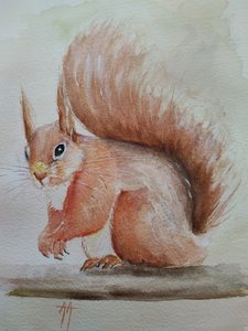 Söpö punainen orava tekijältä Annette Armitage
