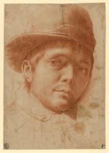 Nuoren lakkipäisen miehen muotokuva tekijältä Annibale Carracci