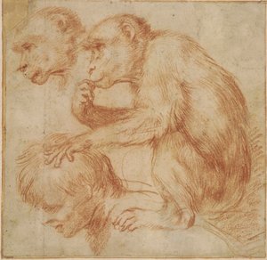 Carracci - Apina miehen olkapäillä profiilissa vasemmalle ja kasvotutkimus, maalaustutkimus Punaliitu, Ff,2.115 tekijältä Annibale Carracci