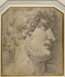 Keisari Gallienuksen (tai Hadrianuksen) pää antiikin jälkeen (musta liitu kermapaperilla) tekijältä Annibale Carracci