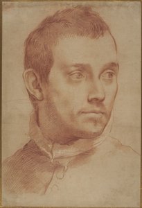 Nuoren miehen muotokuva tekijältä Annibale Carracci