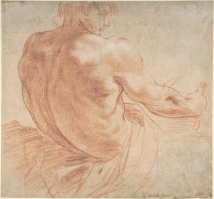 Istuva oikealle katsova nuorukainen takaapäin nähtynä tekijältä Annibale Carracci