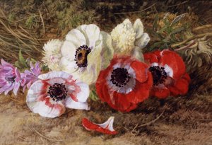 Anemones tekijältä Annie Feray Mutrie