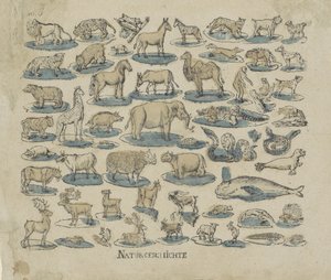 palvelijat Natural History (otsikko esineessä) tekijältä Anonymous