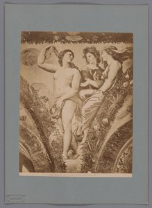 Fotoreproductie van het fresco Amor en Psyche in de Loggia di Psiche, Villa Farnesina te Rome Rooma. Amor ja Psyche. Farnesina (otsikko esineessä) tekijältä Anonymous