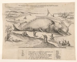 Rannalla oleva valas Antwerpenin lähellä, 1577 Tämän valaan waerachtich conterfeytsel ja koko, ghevanghe[n] den 2. heinäkuuta 1577 (otsikko esineessä) tekijältä Anonymous