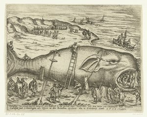 Pulaan jäänyt Walvis lähellä Berckheyä, 1598 Warhafttigh And Wonderful Monster tai Pottfisch valaan muodossa, josta Möer oli liettynyt Catwyckin ja Schevelingenin väliin Wyterina relaatiossa ercleret 4. helmikuuta, Anno 1598 (tissi tekijältä Anonymous
