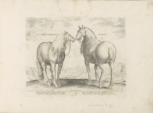 Hengst en merrie uit Rooma Roman Matronal Horse (otsikko esineessä) Paardenrassen uit de Koninklijke stallen van Don Juan van Oostenrijk (sarjan nimi) Hevonen, jossa kaikenlaisia ​​aatelisia: eri puolilta maailmaa valittujen hevosten käyttäytyminen eroteta tekijältä Anonymous