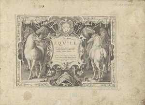 Ornamenteel cartouche met titel geflankeerd door paarden Hevonen, jossa kaikenlaisia ​​aatelisia: eri puolilta maailmaa erottuneiden hevosten käyttäytyminen valittu (...) (sarjan nimi esineellä) tekijältä Anonymous