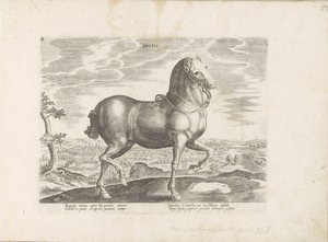 Paard uit Engeland Brito (otsikko esineessä) Paardenrassen uit de Koninklijke stallen van Don Juan van Oostenrijk (sarjan nimi) Hevonen, jossa kaikenlaisia ​​aatelisia: eri puolilta maailmaa erottuneiden hevosten käyttäytyminen valittu (...) (sarjan nimi o tekijältä Anonymous