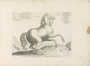 Paard uit Frankrijk ranska (otsikko esineessä) Paardenrassen uit de Koninklijke stallen van Don Juan van Oostenrijk (sarjan nimi) Hevonen, jossa kaikenlaisia ​​aatelisia: eri puolilta maailmaa erottuneiden hevosten käyttäytyminen valittu (...) (sarjan nimi tekijältä Anonymous
