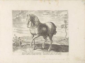 Paard uit Gelre Sicamber (otsikko esineessä) Paardenrassen uit de Koninklijke stallen van Don Juan van Oostenrijk (sarjan nimi) Hevonen, jossa kaikenlaisia ​​aatelisia: eri puolilta maailmaa erottuneiden hevosten käyttäytyminen valittu (...) (sarjan nimi o tekijältä Anonymous