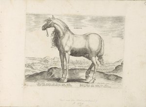 Paard Kreikasta Achivus (otsikko esineessä) Paardenrassen uit de Koninklijke stallen van Don Juan van Oostenrijk (sarjan nimi) Hevonen, jossa kaikenlaisia ​​aatelisia: eri puolilta maailmaa erottuneiden hevosten käyttäytyminen valittu (...) (sarjan nimi on tekijältä Anonymous