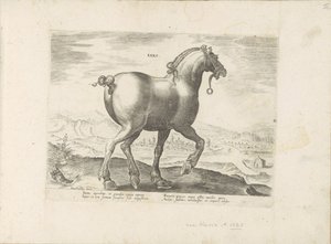 Paard uit Saksen Saxo (otsikko esineessä) Paardenrassen uit de Koninklijke stallen van Don Juan van Oostenrijk (sarjan nimi) Hevonen, jossa kaikenlaisia ​​aatelisia: eri puolilta maailmaa erottuneiden hevosten käyttäytyminen valittu (...) (sarjan nimi esin tekijältä Anonymous