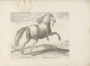 Paard uit Spanje espanja (otsikko esineessä) Paardenrassen uit de Koninklijke stallen van Don Juan van Oostenrijk (sarjan nimi) Hevonen, jossa kaikenlaisia ​​aatelisia: eri puolilta maailmaa erottuneiden hevosten käyttäytyminen valittu (...) (sarjan nimi o tekijältä Anonymous