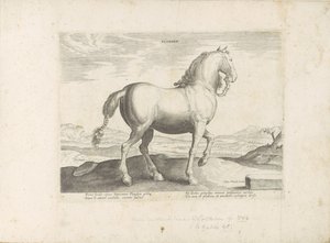 Paard uit Vlaanderen Flanderi (otsikko esineessä) Paardenrassen uit de Koninklijke stallen van Don Juan van Oostenrijk (sarjan nimi) Hevonen, jossa kaikenlaisia ​​aatelisia: eri puolilta maailmaa erottuneiden hevosten käyttäytyminen valittu (...) (sarjan n tekijältä Anonymous