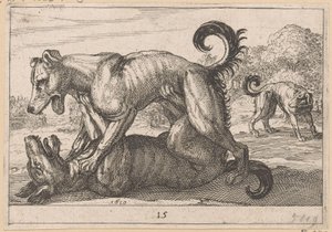 Kaksi parittelu- ja kaksi taistelukoiraa Fighting Animals (kopiot) (sarjan nimi) tekijältä Anonymous